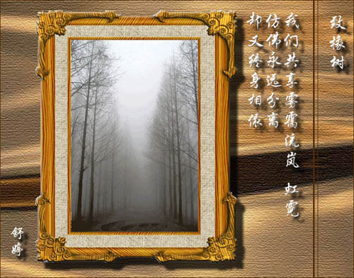致橡树-舒婷
