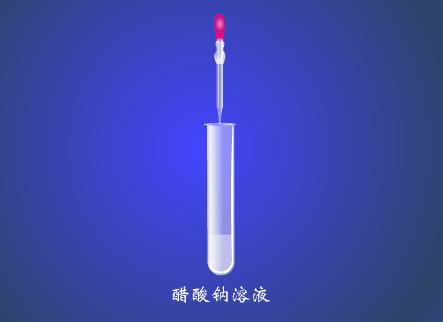 实验演示 操作方法 在一个试管里加入3ml醋酸钠