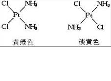 验证四氯化碳分子的极性