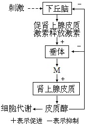 高考生物真题分类汇编精讲:神经-体液调节(2)_