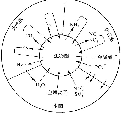 物质和能量的交换主要是通过这些元素及其组成的化合物的循环实现的