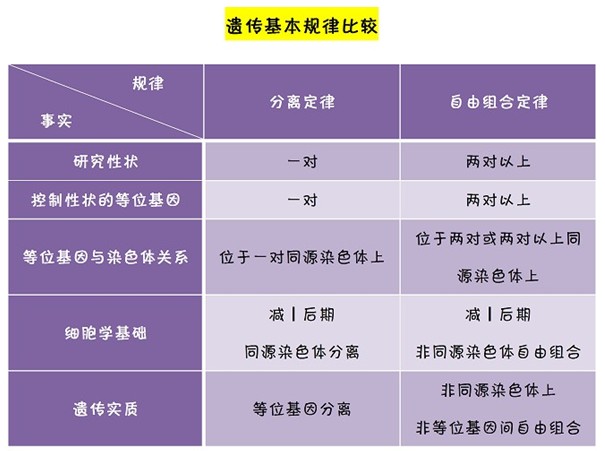 高中生物知识点:遗传基本规律比较 - 学科高考