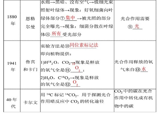 分数生物知识点:光合作用新高中草桥高中图片