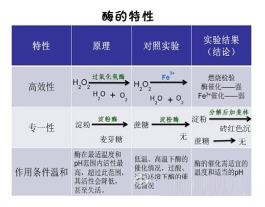 高中生物知识点:酶的特性-生物学科网