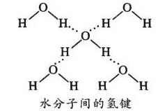 为什么冰的密度小于水