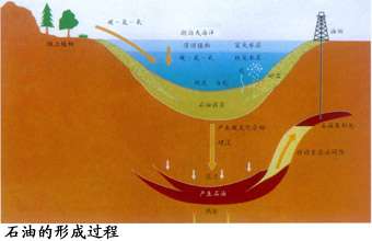 石油是如何形成的