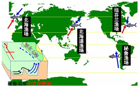 高考考向重点精讲:洋流对地理环境的影响-学习方法