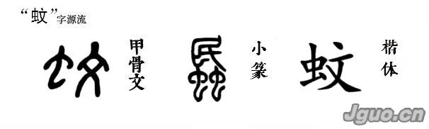 其字形左边为小虫的形体,代表字义;右边为"文",代表字音.