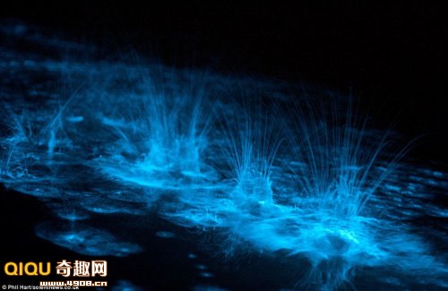 ZXXKCOM201109011029201869040.jpg