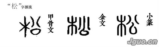 汉字溯源:晚寻水涧听"松"韵