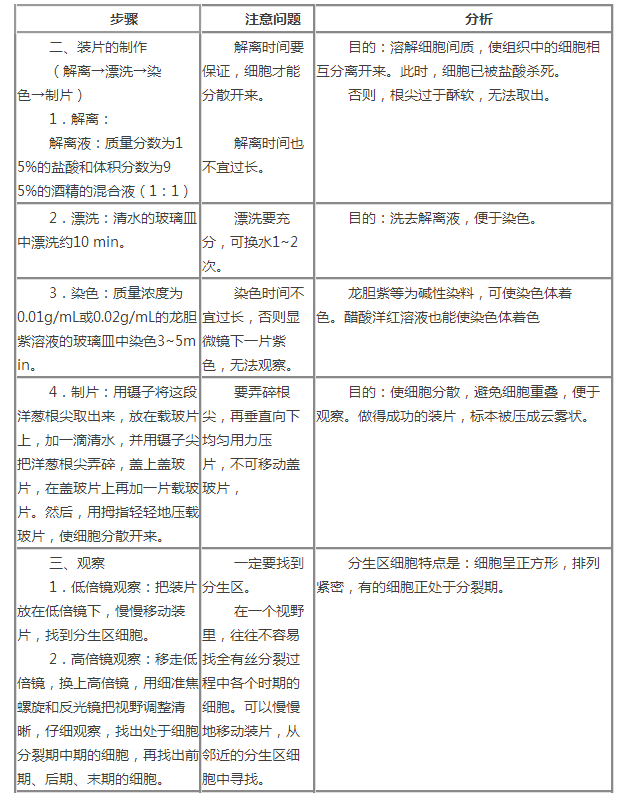 二,观察细胞有丝分裂的实验过程