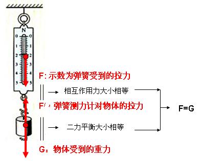 制成弹簧测力计的原理是什么_弹簧测力计